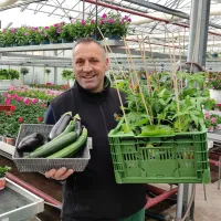 Les légumes de l'été bientôt chez vous DR