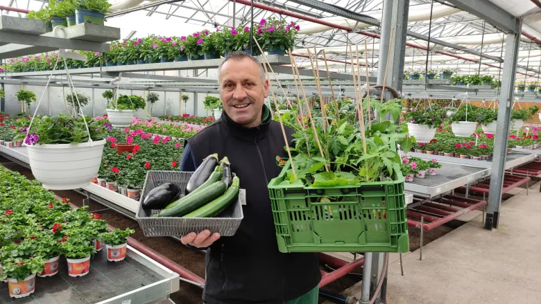 Les légumes de l'été bientôt chez vous