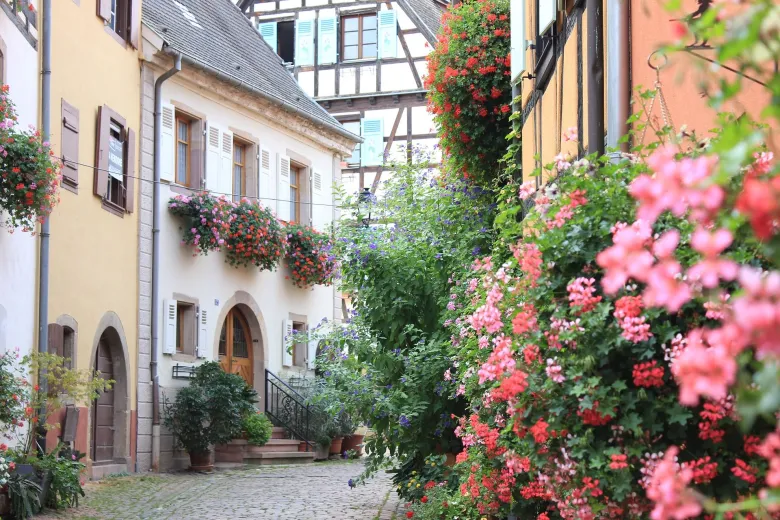 Les ruelles d'Eguisheim