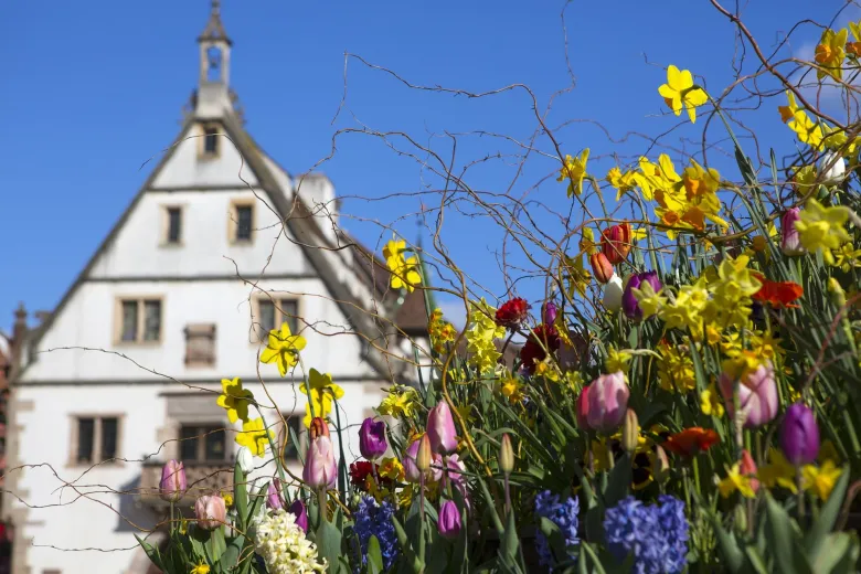 C'est le printemps à Obernai !