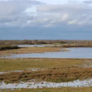 À la découverte de la Réserve Terre et Etangs de Brenne Massé-Foucault