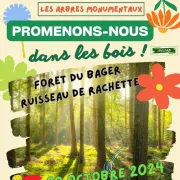 A la découverte des arbres monumentaux