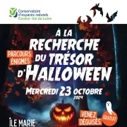 A la recherche du trésor d\'Halloween