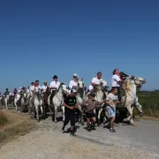 Abrivado des Bernacles - Lâcher de taureaux  jusqu'aux arènes