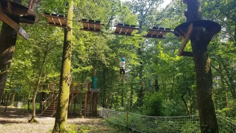 Traversez les branchages en hauteur au parcours accrobranche de Burnhaupt