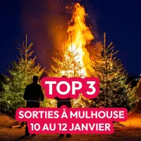 Activités à Mulhouse : Sorties du week-end du 10 au 12 janvier 2025 DR