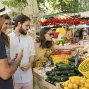 Aix en Provence City Tour : Culture, Wine & Cheese & Wine Tour - TY19