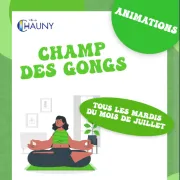 Animation champ des gongs à Chauny