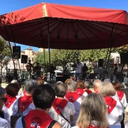 Animation musicale au kiosque