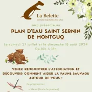 Animations de La Belette au plan d\'eau Saint Sernin de Montcuq