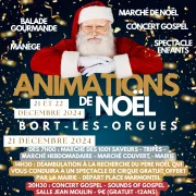 Animations de Noël