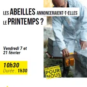 Arcachon pour nous : les abeilles annonceraient-elles le printemps ?