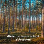 Atelier archives : la forêt d\'Arcachon