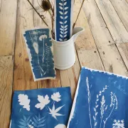 Atelier Cyanotype