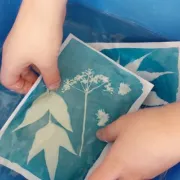 Atelier cyanotype \