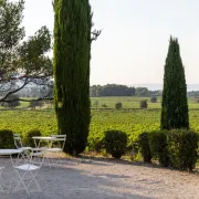 Atelier d\'assemblage - Créez votre propre vin au Château Paradis