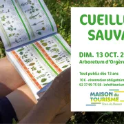 Atelier de cueillette sauvage