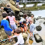 Atelier de pêche à pied