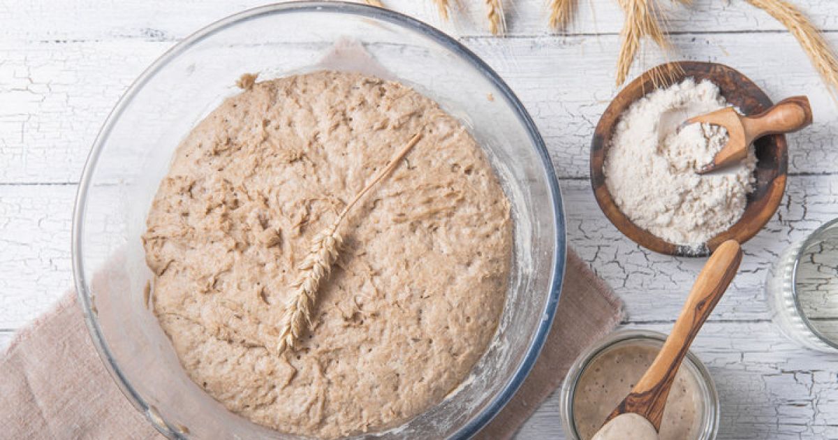 Atelier D Couverte De Pain Au Petit Peautre Et Levain Naturel Am Lie Les Bains Palalda