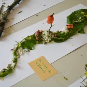 Atelier en famille - Pliage botanique