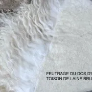 Atelier feutrage de toison de laine brute