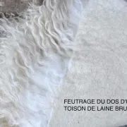 Atelier feutrage de toison de laine brute