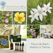 Atelier fleurs de Bach