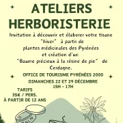 Atelier Herboristerie