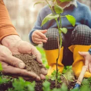 Atelier Jardin Partagé des 4 Saisons