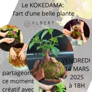 Atelier Kokedama : L'art d'une belle plante