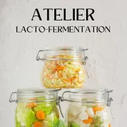 Atelier lacto-fermentation