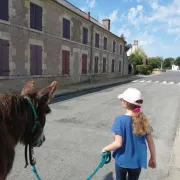 Atelier petit fermier