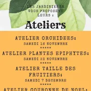 Atelier plantes épiphytes