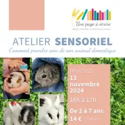 Atelier sensoriel : Comment prendre soin de son animal domestique