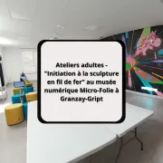 Ateliers adultes - Initiation à la sculpture en fil de fer au musée numérique Micro-Folie à Granzay-Gript