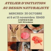 Ateliers d’initiation au dessin naturaliste