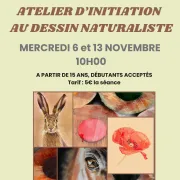 Ateliers d’initiation au dessin naturaliste au pastel