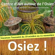 Ateliers Osier Créatif - Vacances de la Toussaint au Centre d’Art autour de l’osier : O S I E Z !