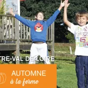 Automne à la ferme