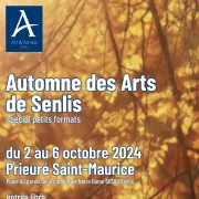 Automne des Arts de Senlis 2024