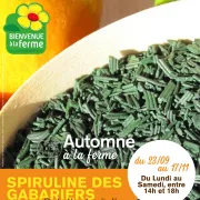 Automne  la Ferme - Spiruline des Gabariers