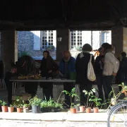 Autour de la botanique - Troc de plantes & balade botanique