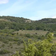 Autour Du Volcanisme De Péret