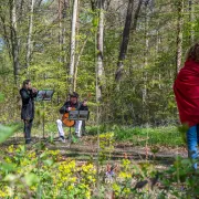 Bain de Forêt Musical : Mozart en chemin...