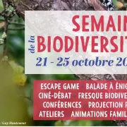 Balade à énigmes « Sur Les Traces De La Biodiversité Ordinaire » - Semaine De La Biodiversité