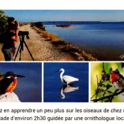 Balade à La Découverte Des Oiseaux