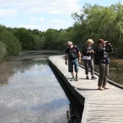 Balade accompagnée