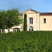 Balade Agroforesterie à travers 3 Grands Crus Classés de Saint-Emilion