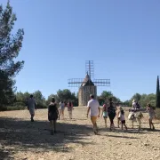 Balade aux pas de l\'âne : Le sentier des moulins