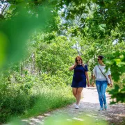 Balade commentée à Saint Brice